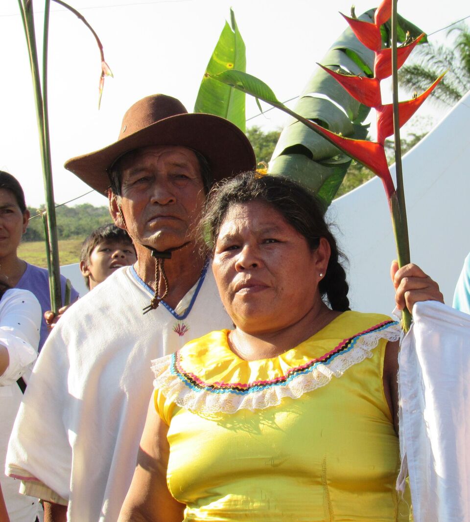 Read more about the article VIDEO: Official report of the International Tribunal for the Rights of Nature Regarding TIPNIS (Bolivia)