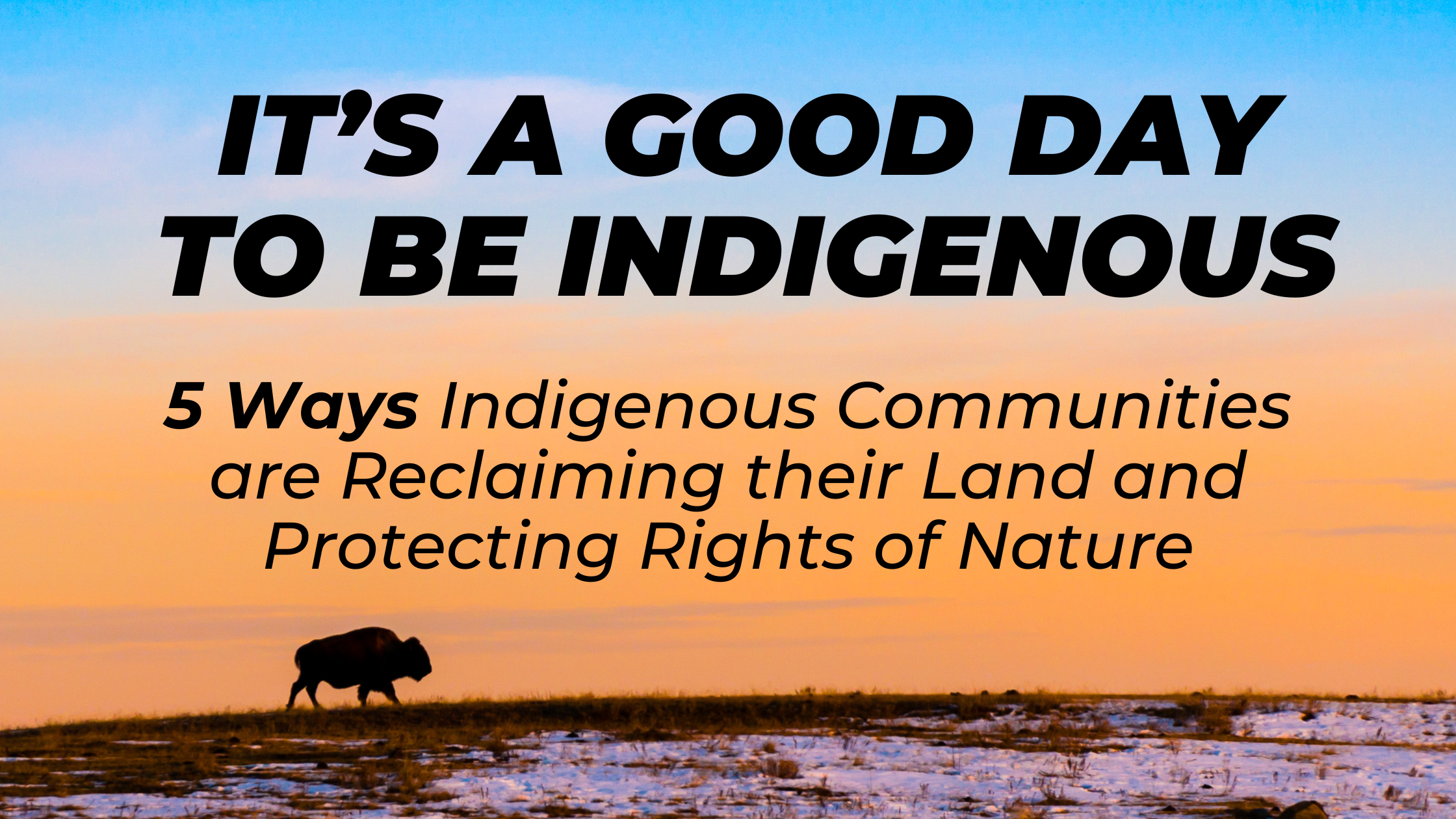 Read more about the article It’s a Good Day to Be Indigenous: 5 Ways Indigenous Communities are Reclaiming their Land